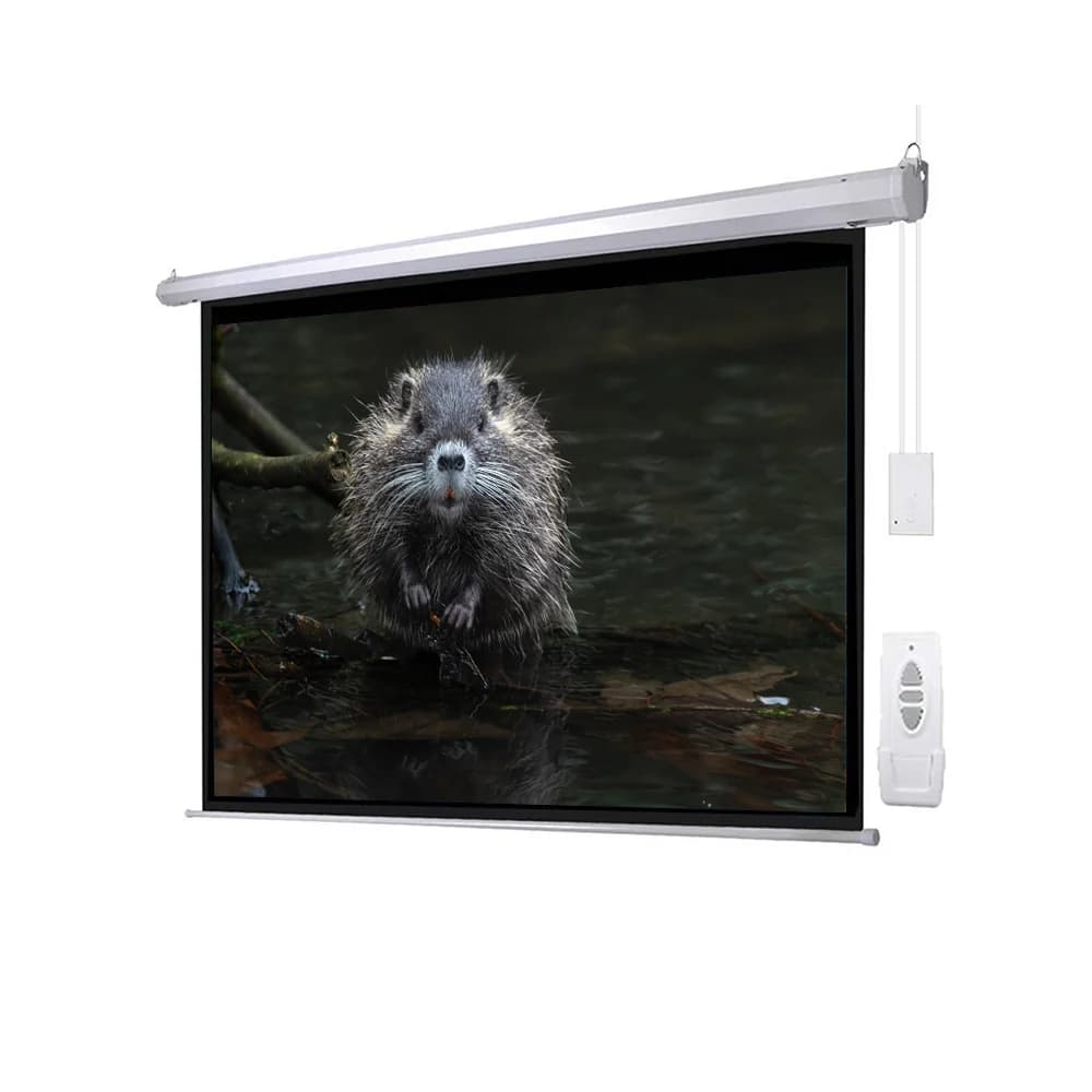 BUEROTIKA Electric Projector Screen (KB-00113)