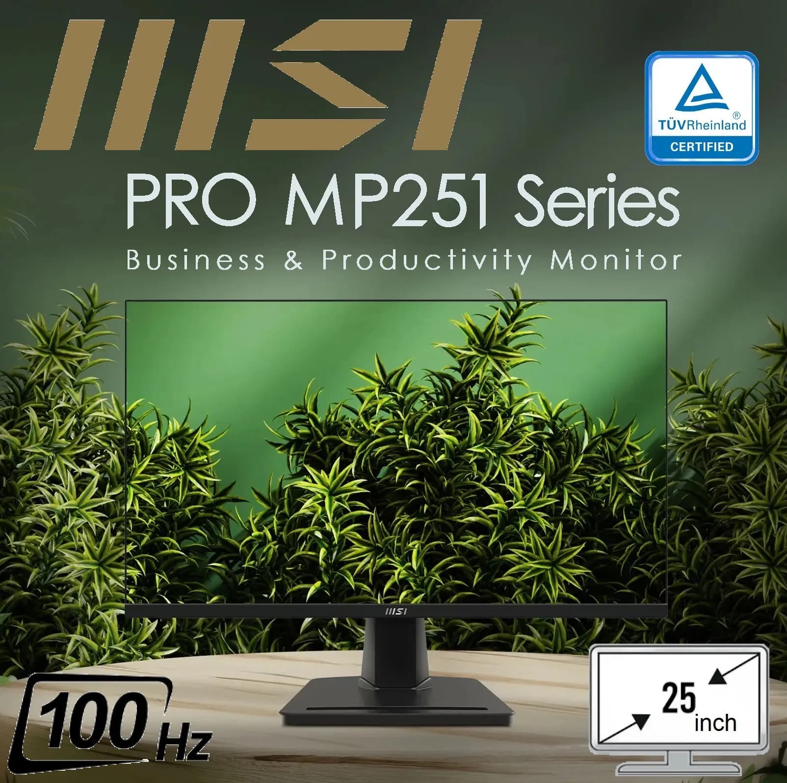 MSI PRO MP251 Professional 24.5″ FHD Monitor