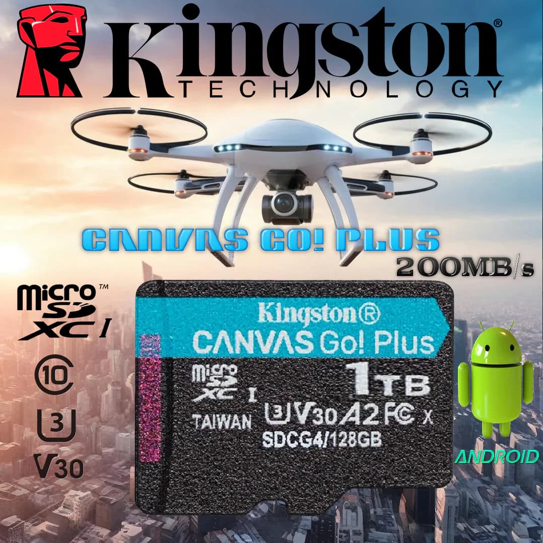 Kingston Canvas Go Plus 1TB MicroSD Card