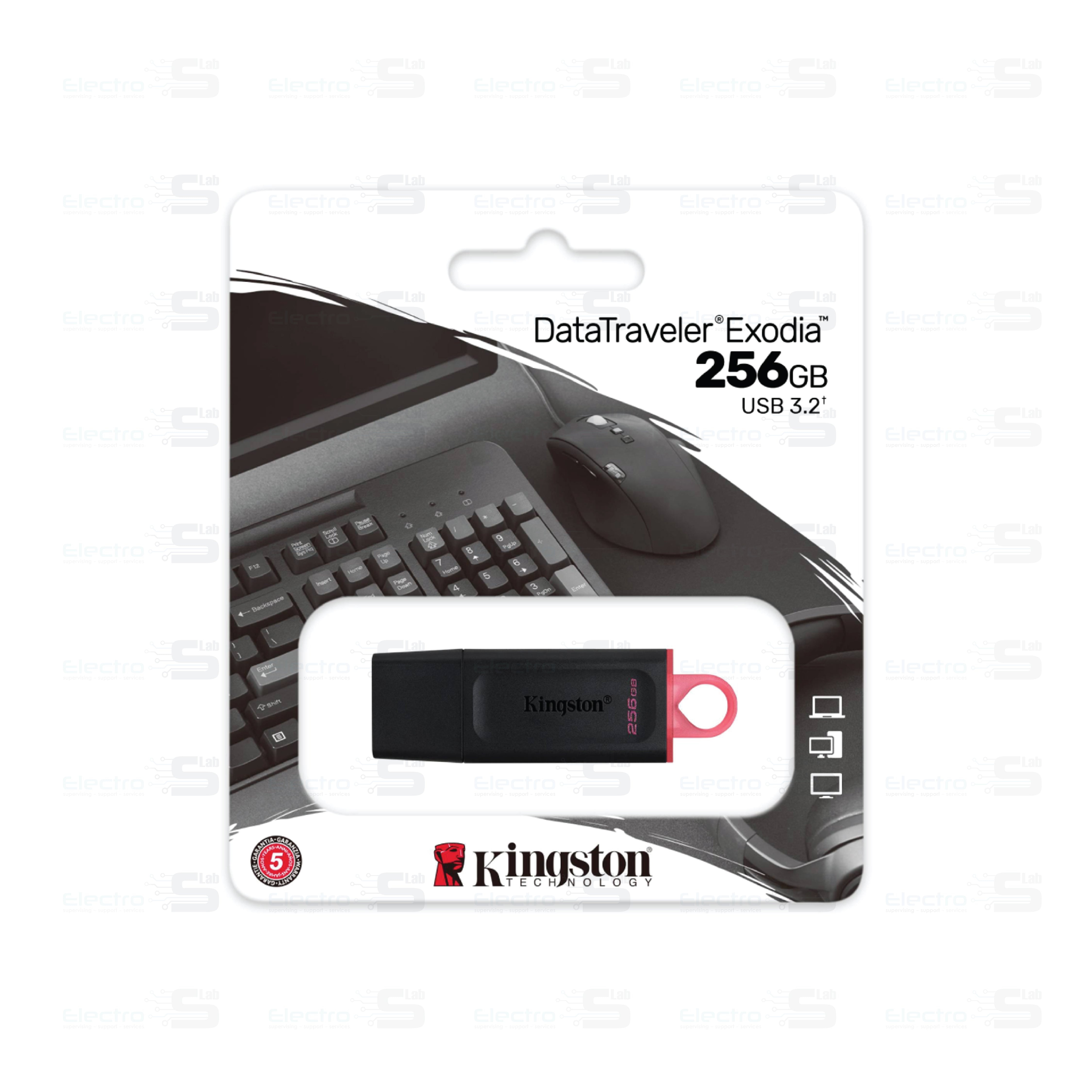 Kingston DataTraveler Exodia DTX 256 GB USB 3.2 Flash Drive