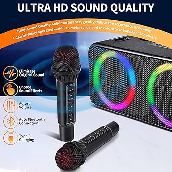 Speaker Rk 01 Rgb With 2 Microphones 4
