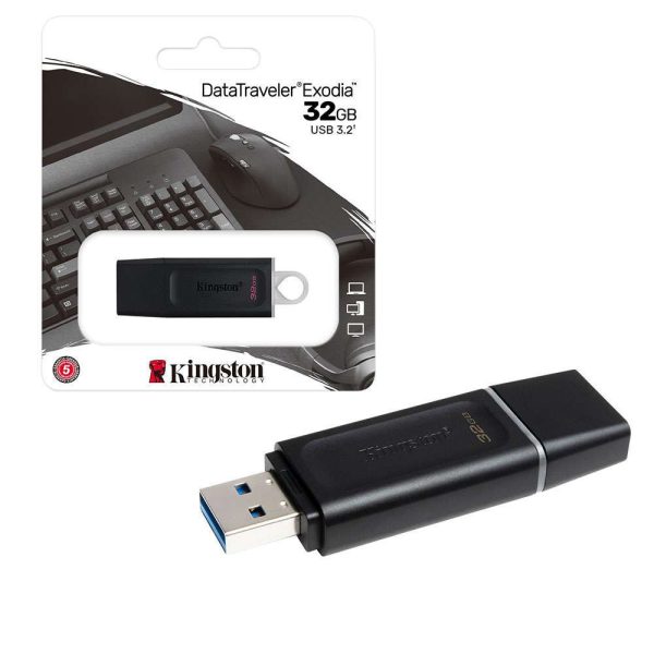 Kingston USB 0 256GB Flash Memory Exodia